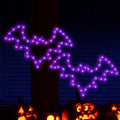Halloween Window Lights, 2 Pack LED Waterproof Timer Indoor Decor