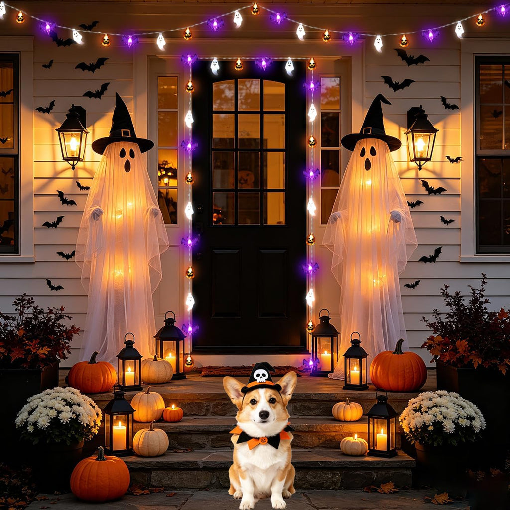 Halloween Lights Decor 16 Ft 30 LED Battery Operated String Light